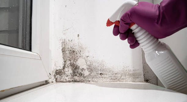 Best Sewage cleanup and water damage restoration  in Morrisville, VT