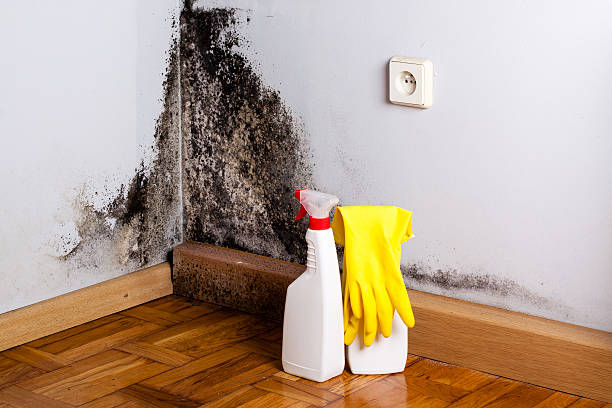 Best Water damage restoration near me  in Morrisville, VT